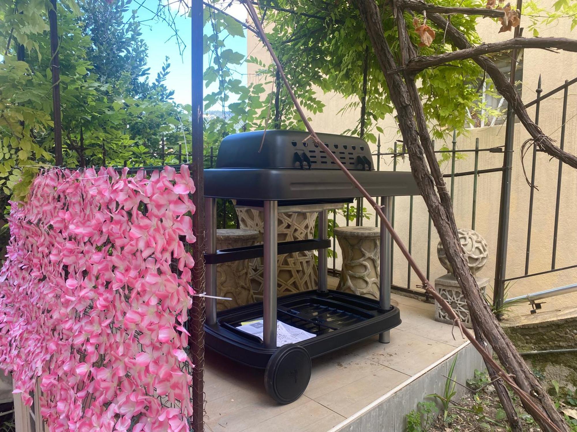 Apartment Quiet With Little Garden Nizza